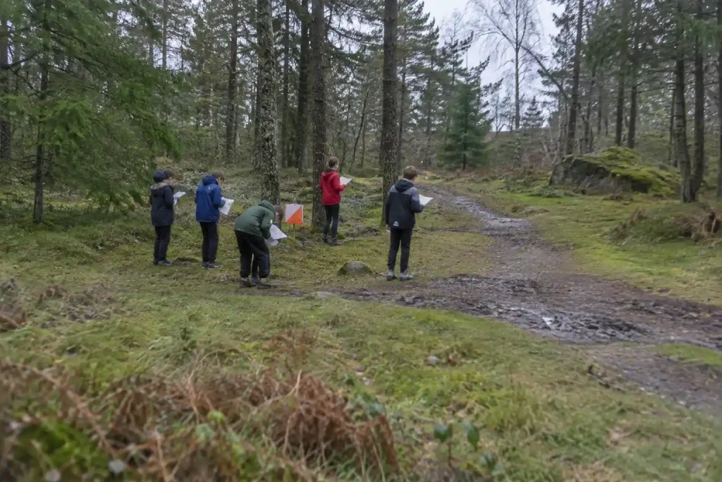 Elever studerar orienteringskartor vid en skogsglänta, ett exempel på varför orientering är med på skolidrotten.
